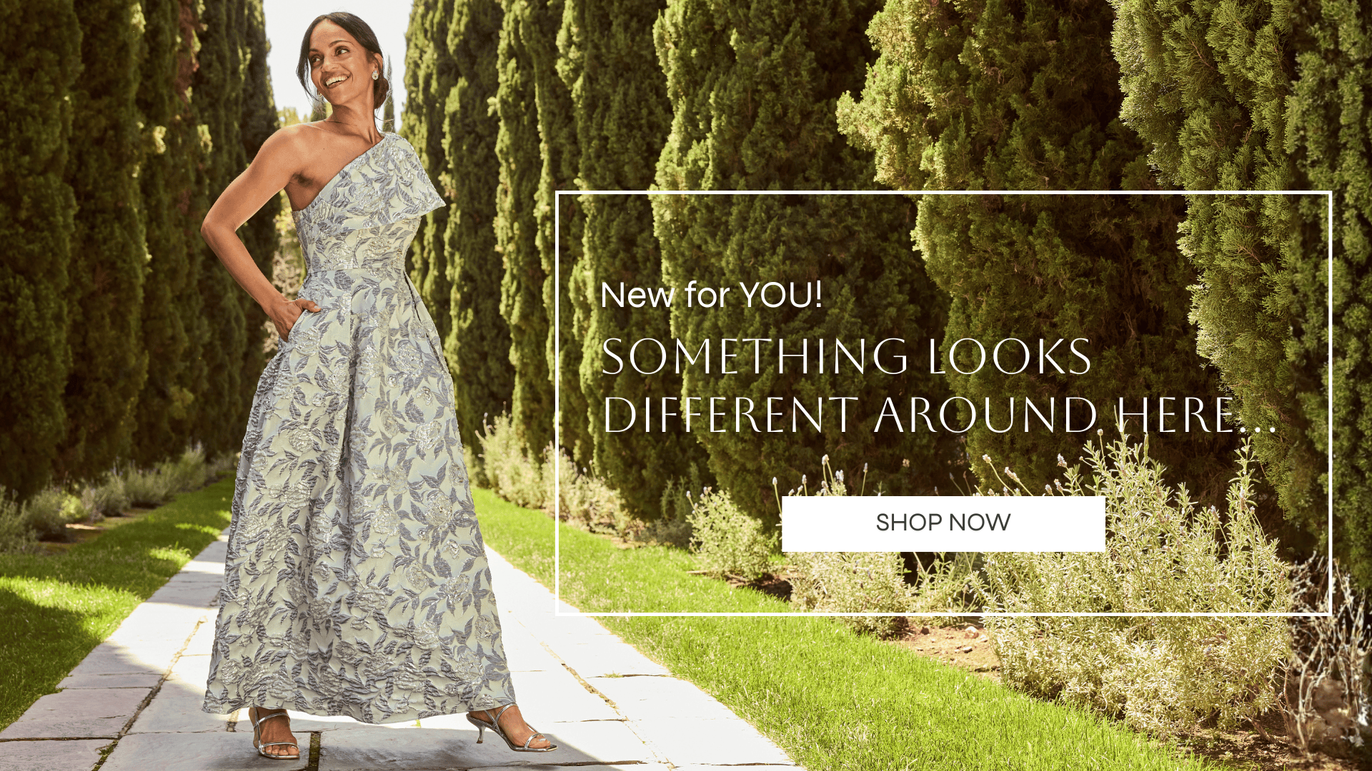 Introducing: The New and Improved ALEXEVENINGS.COM