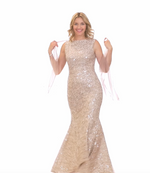 Long Sleeveless Fit & Flare Dress with Sequin Detail and Matching Shawl