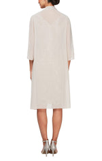 Regular - Short Embroidered V-Neck Sheath Dress with Elongated Illusion Cascade Jacket - alexevenings.com
